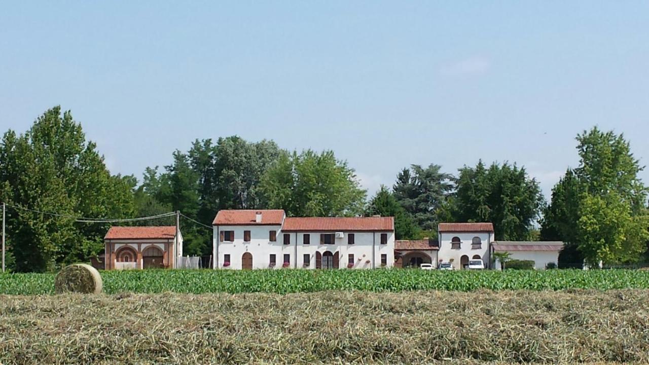 La Casa Delle Rondini Bed & Breakfast Roncoferraro ภายนอก รูปภาพ
